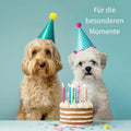Geschenk Box