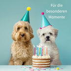 Geschenk Box