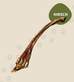 Hirsch-Achillessehne