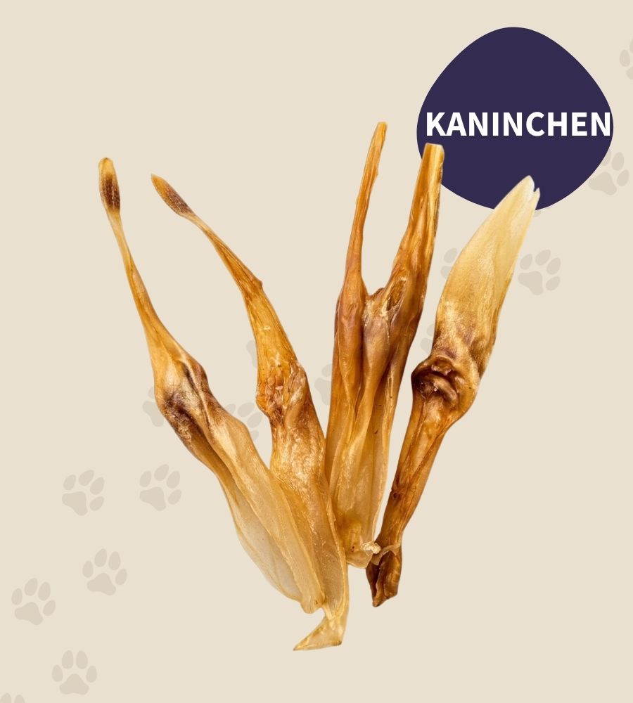 Kaninchenohren