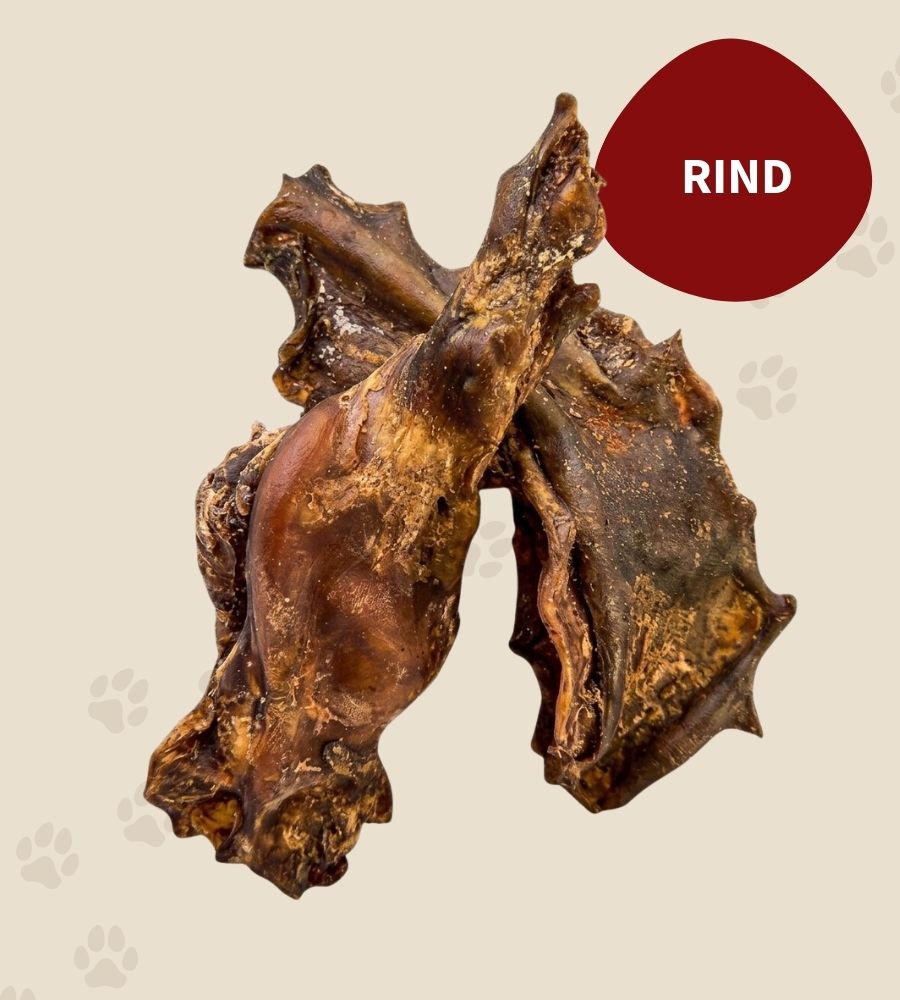 Rinderkollagen Kauer