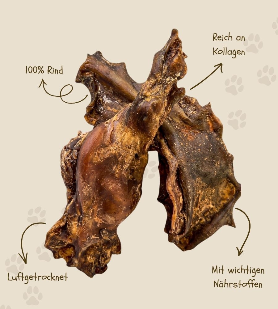 Rinderkollagen Kauer