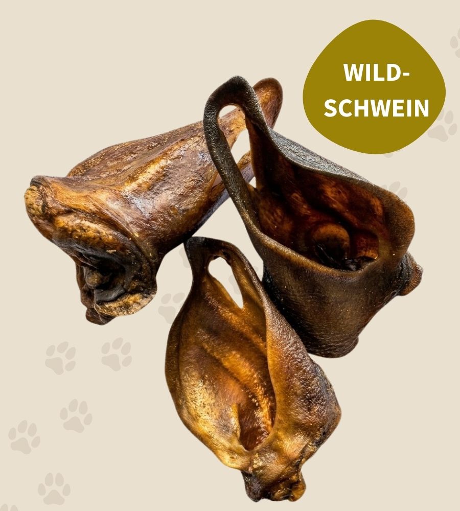 Wildschweinohren