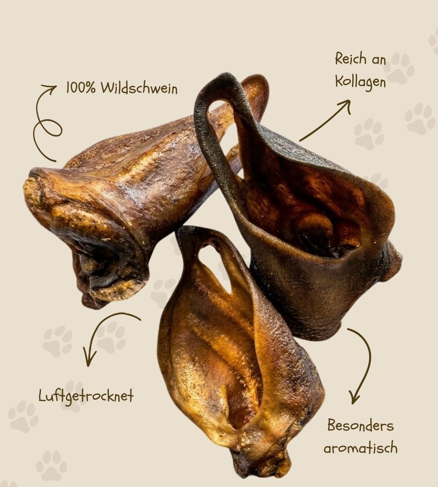 Wildschweinohren